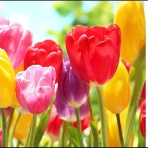 Meet your Posher, Mary